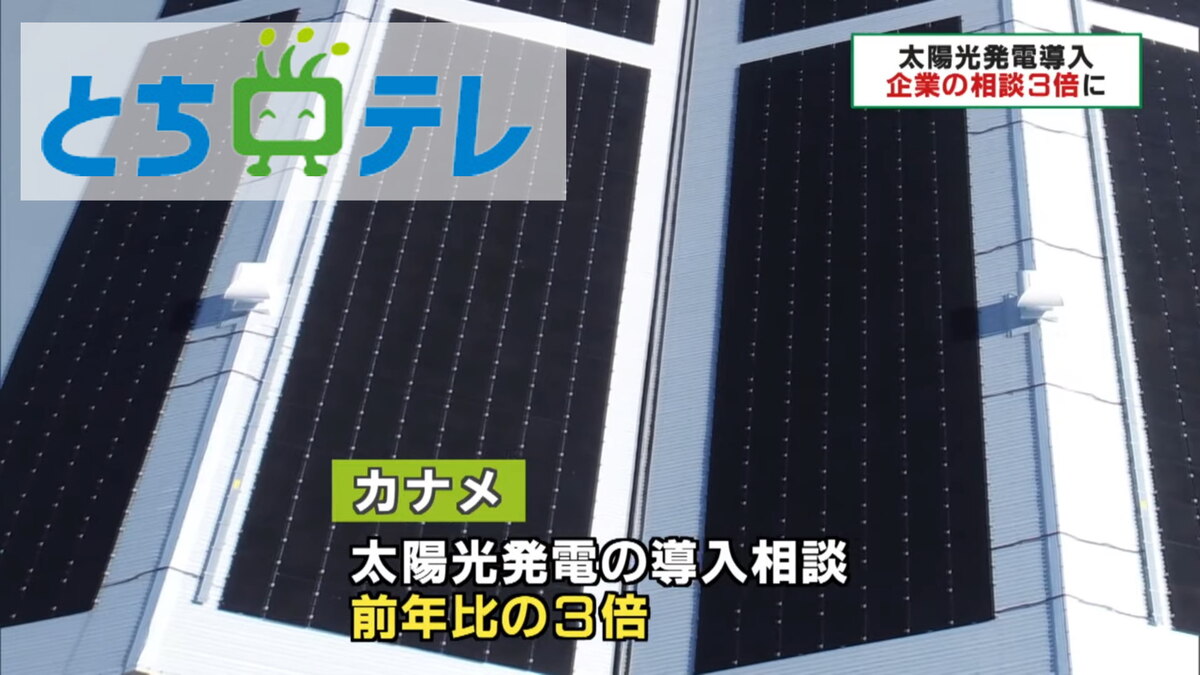 とちぎテレビ「ニュース9」で企業向け屋根改修・太陽光の増加が紹介されました。